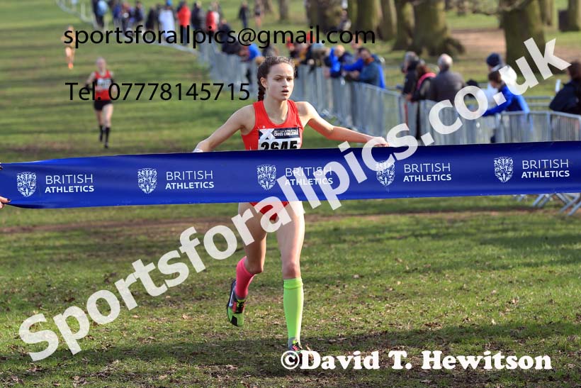 Girls Under-15s, 2024 CAU Inter Counties Cross Country Champs., Wollaton Park, Nottingham. Photo: David T. Hewitson/Sports for All Pics